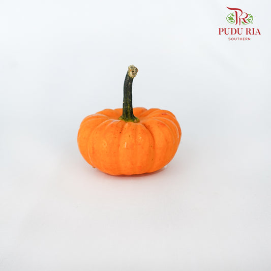 Pumpkin Orange - (Per Piece)