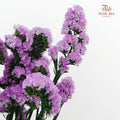 Dry Statice - Light Purple