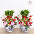 CNY Potted Plant Arrangement 2025#30