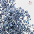 Preservative Baby Breath - Slate Blue