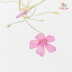 Clover Leaf