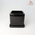 Asst Pot - Black