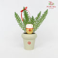 CNY Potted Plant Arrangement 2024#24