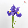 Iris Purple - ( 5 Stems)