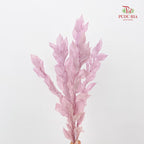 Dry Orange Leaf - Soft Purple