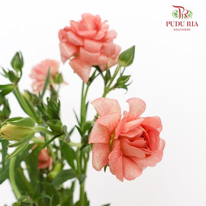 Ranunculus Butterfly Orange - (Per Bundle)