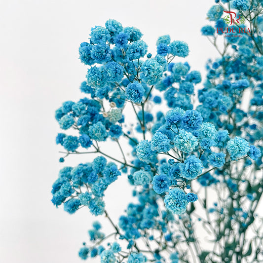 Preservative Baby Breath - Blue