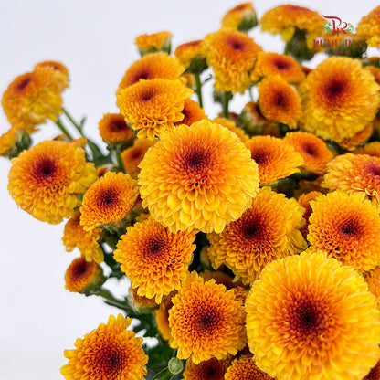 Chrysanthemum Santini / Calimero Mini Button Orange