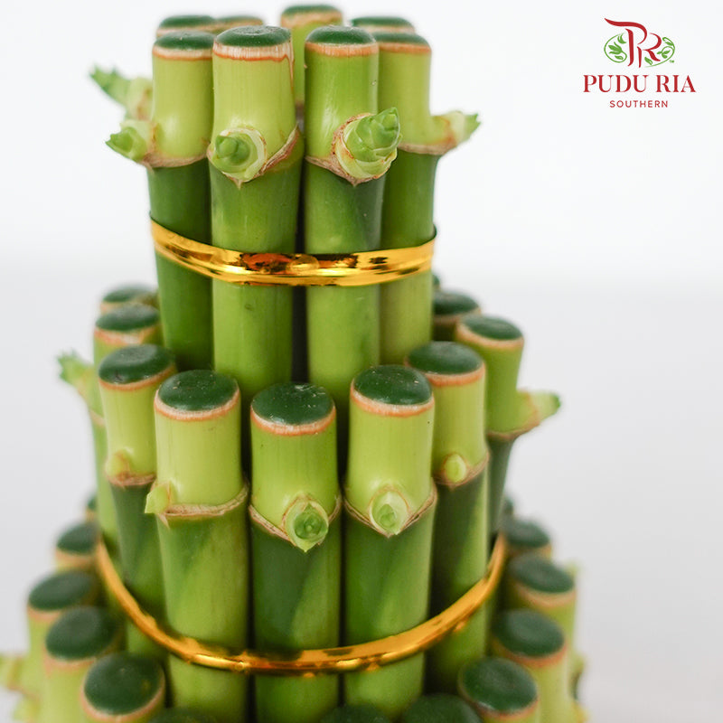 F3R/17CM Bamboo 富贵竹塔