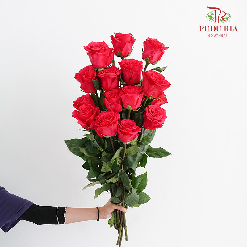 Rose Pink - (15 Stems)