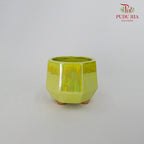 JZ-DW0288 Asst Pot