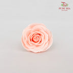 25 Bloom Soap Flower Awalking Tropical Peach - FBA089#3