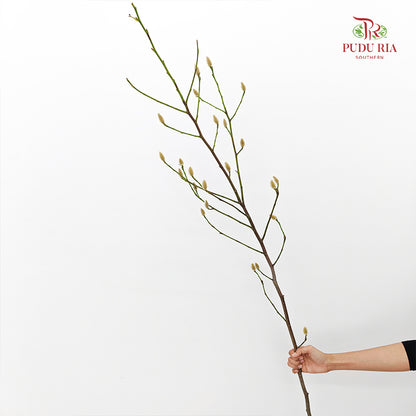Magnolia - (Per Bundle)