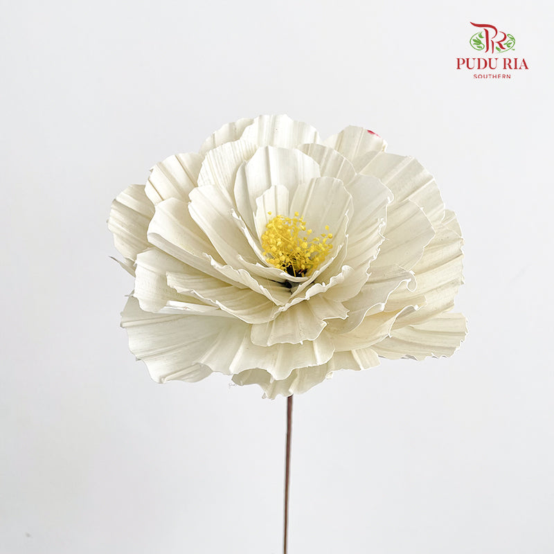 Dry Peony Handmade White - Per Stem