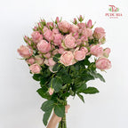 Rose Spray Pink - (8-10 Stems)