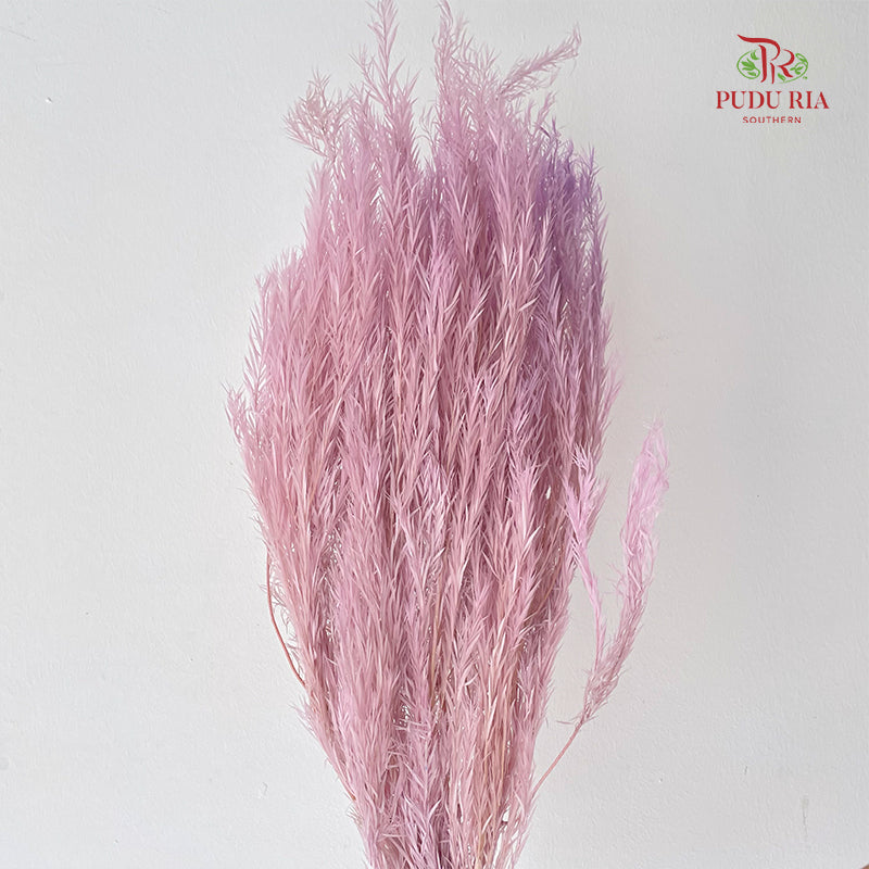 Dry melaleuca Leaf Lilac