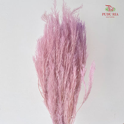 Dry melaleuca Leaf Lilac