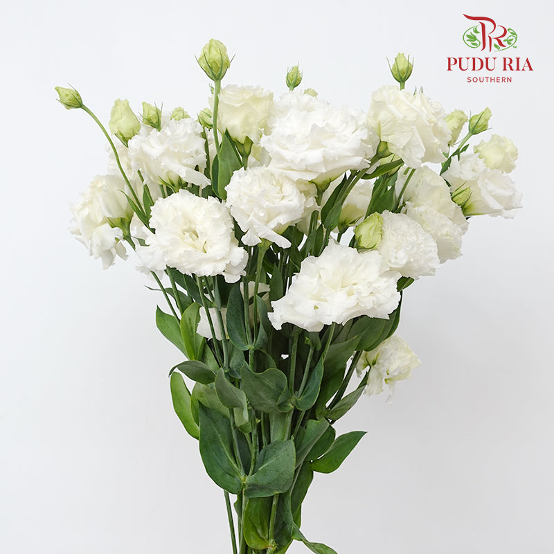 Eustoma Wave White - (12-15 Stems)