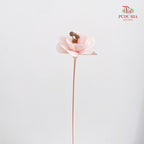 Dry Small Pomegranate Flower - Light Pink