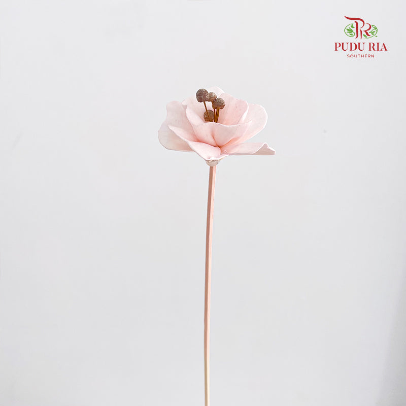 Dry Small Pomegranate Flower - Light Pink