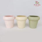 TY-8804 Pot