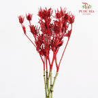 Eryngium Dyed Red - (5 Stems)