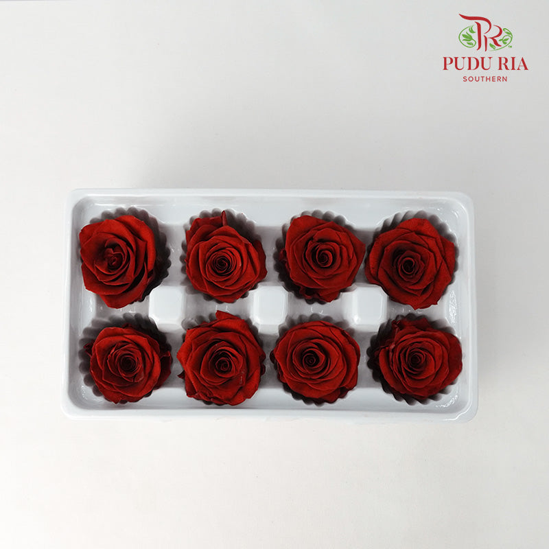 8 Bloom Preservative Rose - Reddish Brown - Pudu Ria Florist Southern