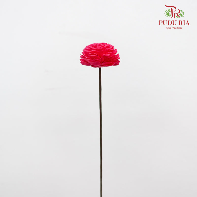 Dry Sola Wood Flower - Dark Pink