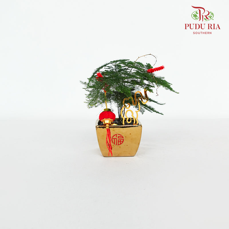 CNY Potted Plant Arrangement 2024#50