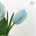 Tulip Dyed Color Blue 郁金香 - (8-10 Stems)