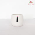 JZ-DW2418-1 Asst Pot - White