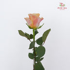Rose Symbol - (8-10 Stems)
