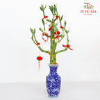 CNY Arrangement 2024#26
