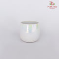 TYN-2025 Asst Pot