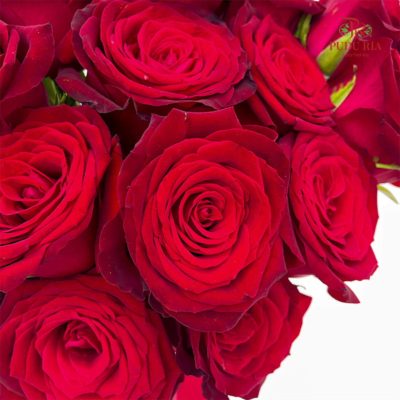 Red Rose Wedding Bouquet (20 Stems)