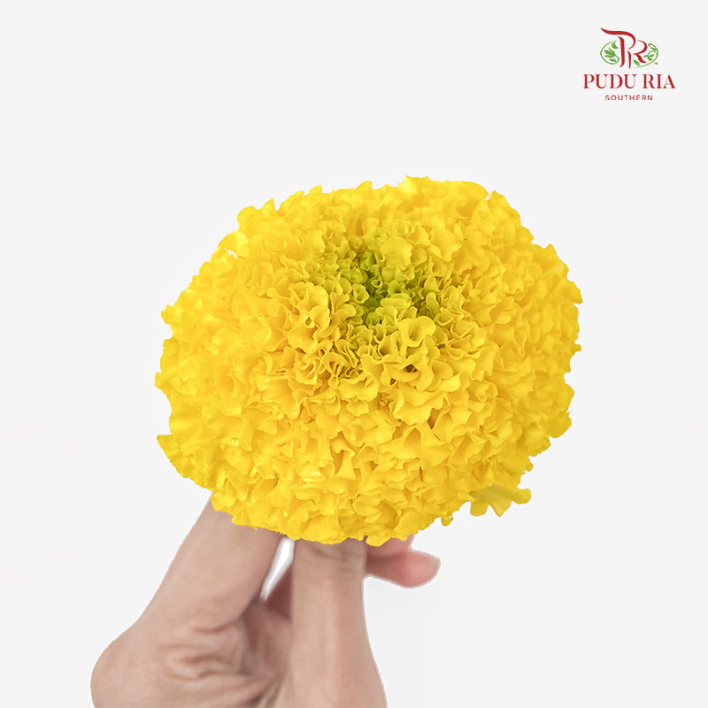 Marigold Loose - (500G)