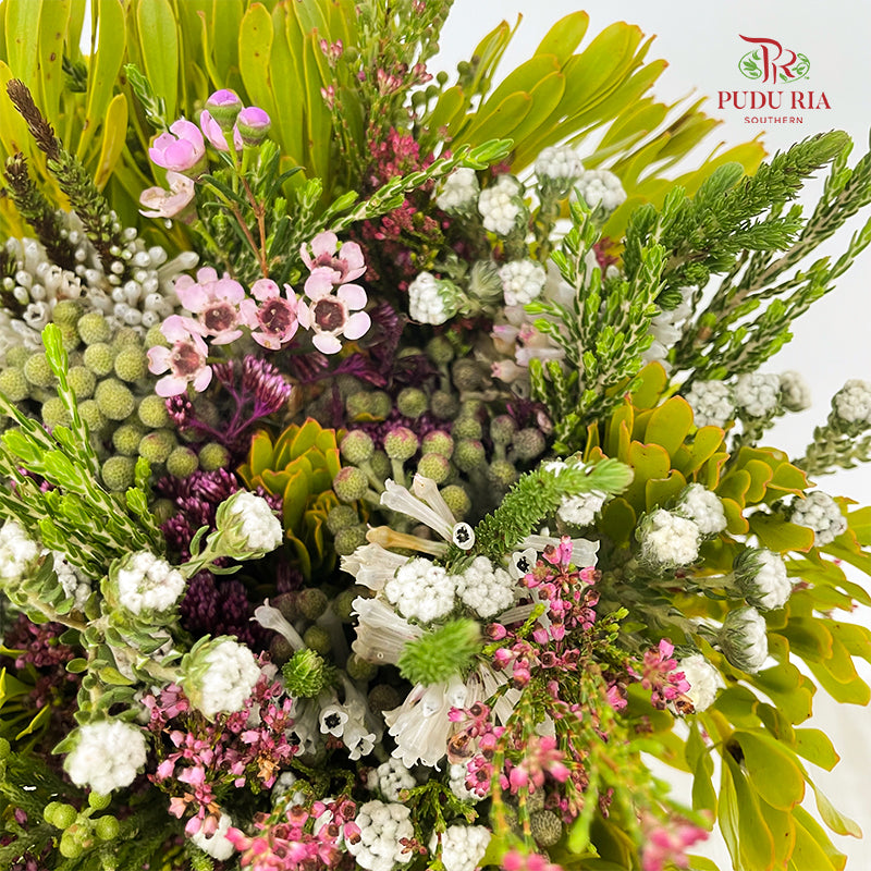 Safari Mix Cone / Cape Cone (6) - (Per Bundle)