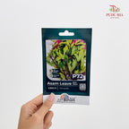 Flowers & Herbs Seeds