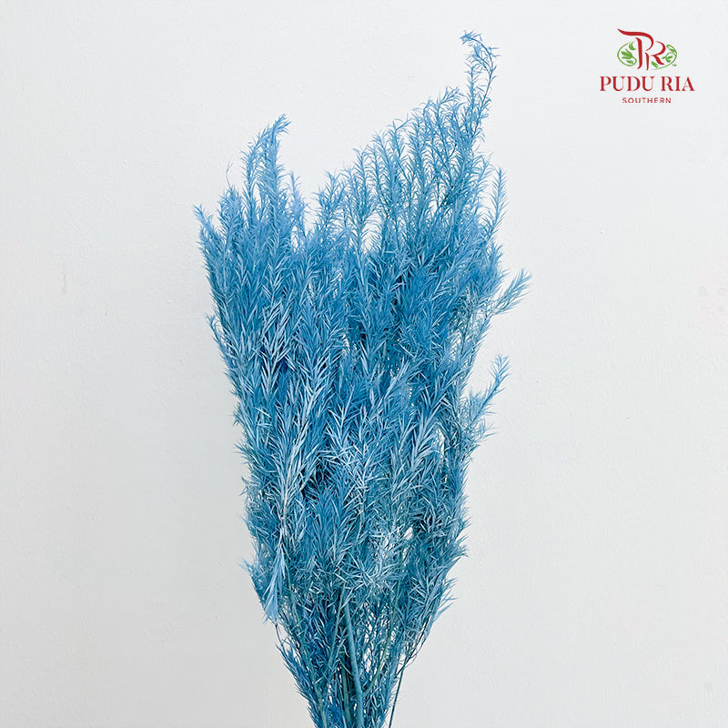 Dry Melaleuca Leaf Blue