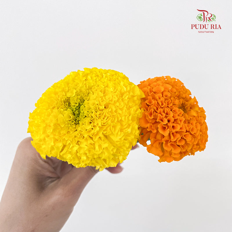 Marigold Loose - (500G)
