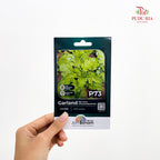 Flowers & Herbs Seeds