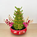 CNY Arrangement 2025 #36