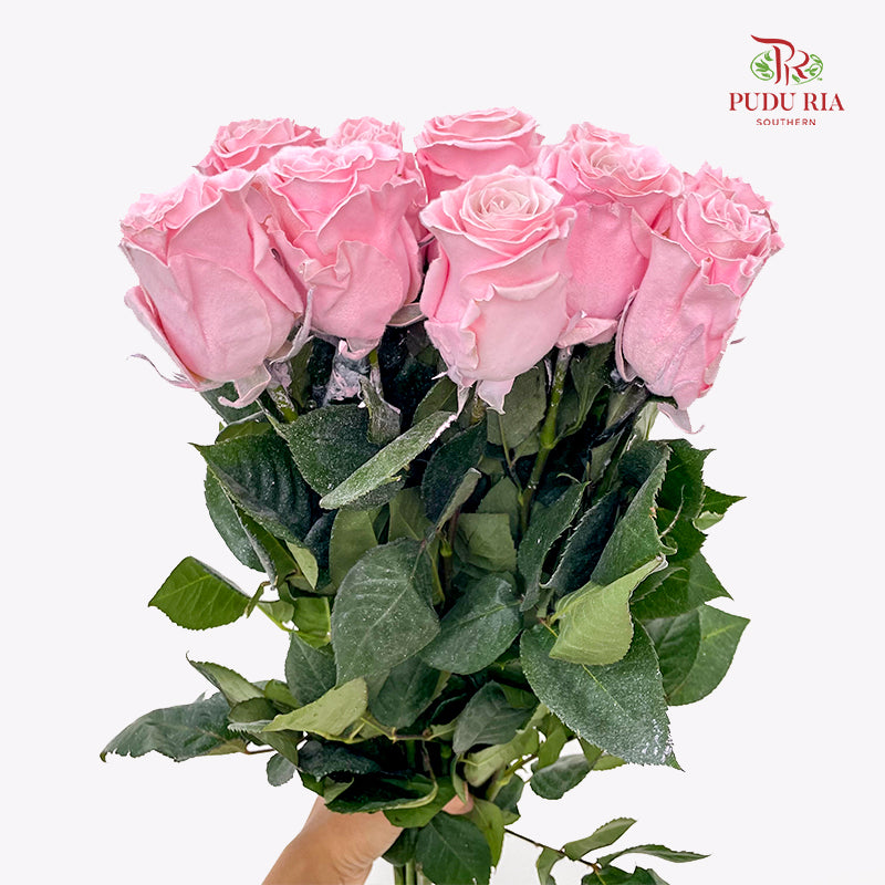 Rose Mondial Dyed Velvet Rose Gold - (8-10 Stems)