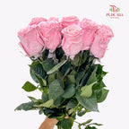 Rose Mondial Dyed Velvet Rose Gold - (8-10 Stems)