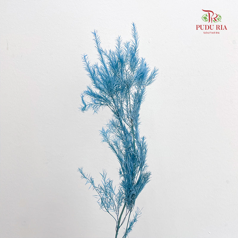 Dry Melaleuca Leaf Blue