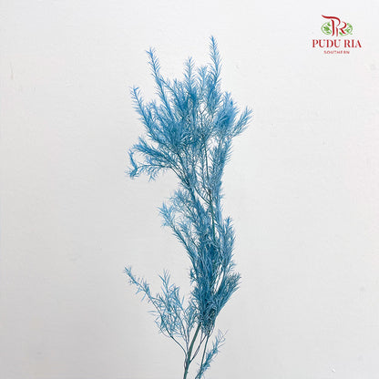 Dry melaleuca Leaf Blue
