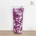 Orchid Loose - (1KG)