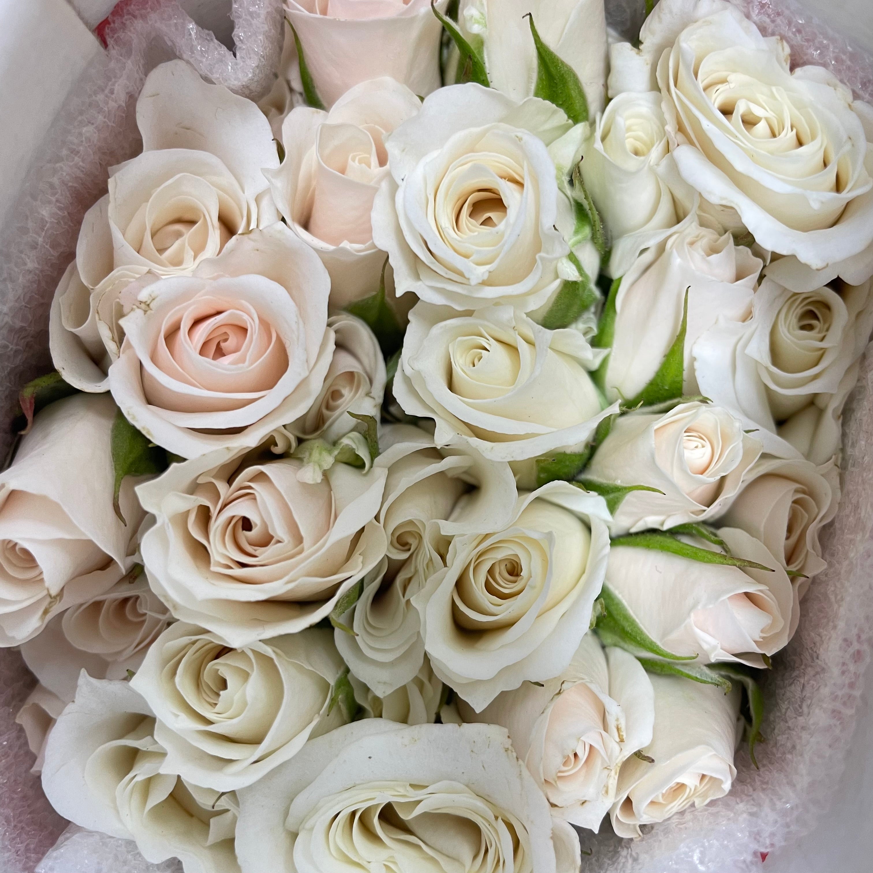 Rose Spray White Majolika - (10-12 Stems)