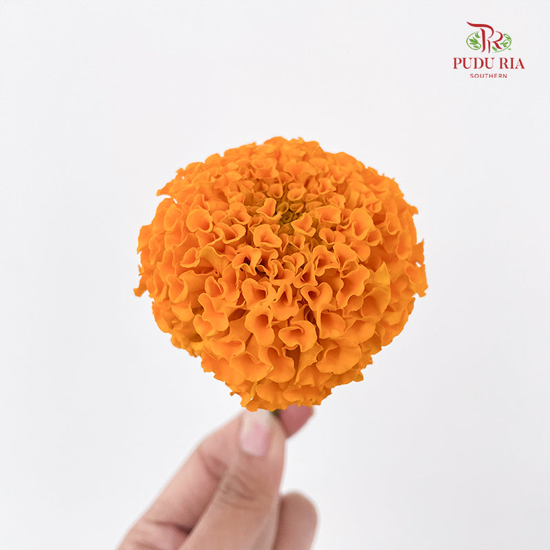 Marigold Loose - (500G)