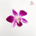Orchid Loose - (1KG)